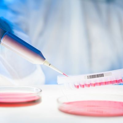Work in the laboratory with a high degree of protection