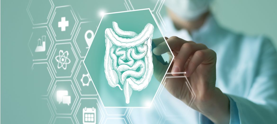 Telemedicine and human Intestine recovery concept. Neutral color palette, copy space for text.