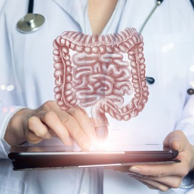 Doctor shows colon and intestines on tablet.